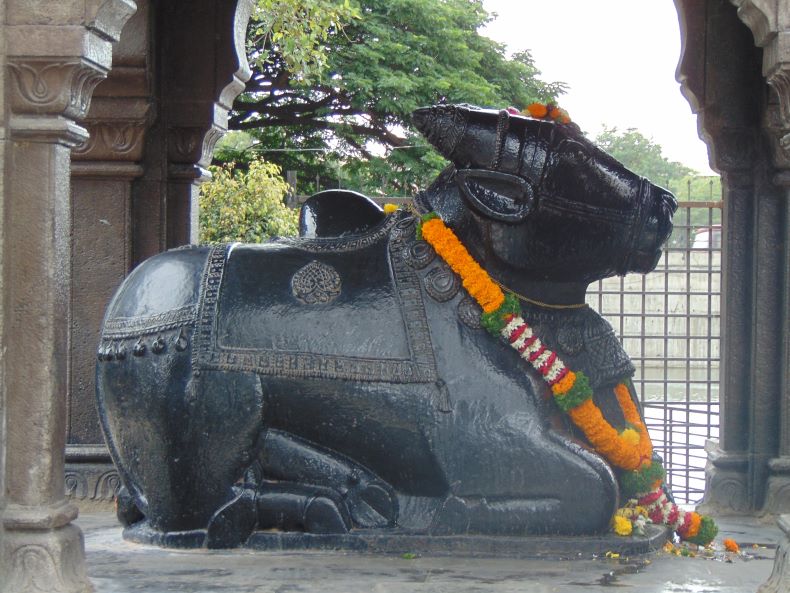 Nandi