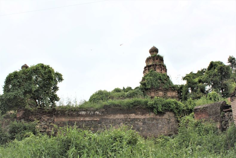 The temple śikhara and its premises are covered by bushes and grass.