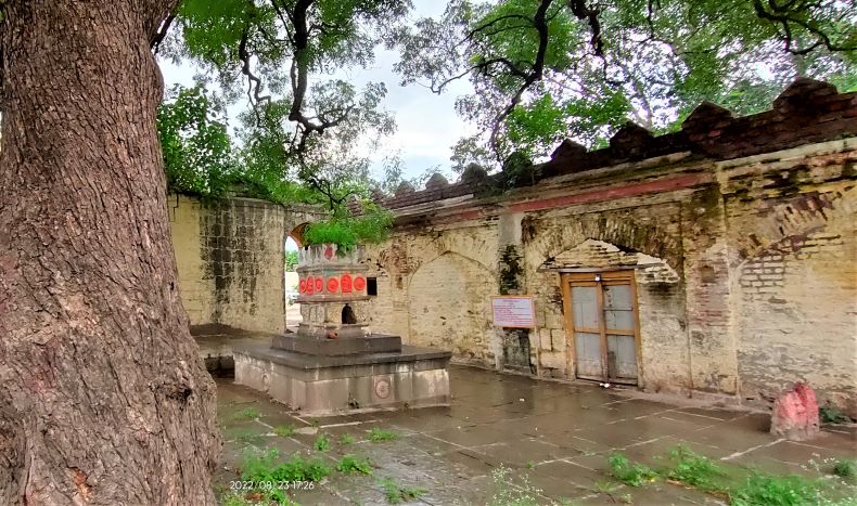 A tulasī vriṅdāvana