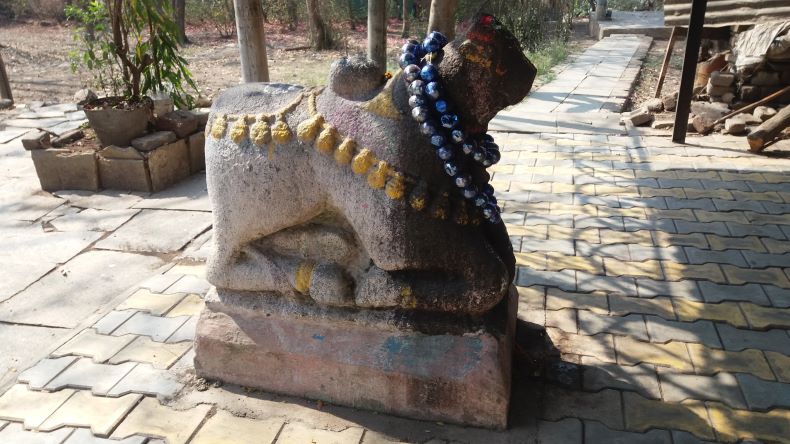 A Nandī in front of Shiva temple at Manjari Khurd.