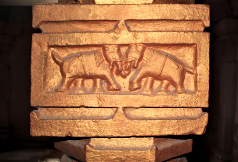 A fight between two elephants